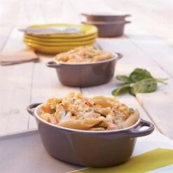 Set 4 Petits Plats à Four Individuels Gris-taupe En Céramique émaillée 350 Ml -Cuisine À Domicile 059123 4 7 Set 4 petits plats a four individuels gris taupe en ceramique emaillee 350 ml Mathon