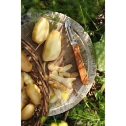 Opinel Coffret Les Essentiels Olivier -Cuisine À Domicile 411056 2 2 Coffret Les Essentiels Olivier Opinel