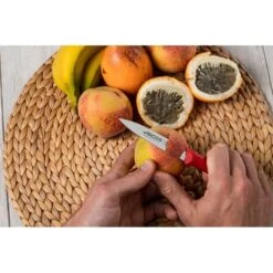 Set 3 Couteaux D'office Nova Coloris Rouge -Cuisine À Domicile 411064 4 1 Set 3 couteaux d office Nova coloris rouge Arcos