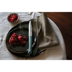 Opinel Coffret 4 Couteaux De Table Lame Micro-dentée 11 Cm Bon Appétit Plus Anthracite -Cuisine À Domicile 419003 4 2 Coffret 4 couteaux de table lame micro dentee 11 cm Bon Appetit Plus anthracite Opinel