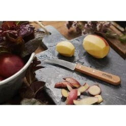 Opinel Coffret 4 Couteaux Essentiels Hêtre -Cuisine À Domicile 471163 3 4 Coffret 4 couteaux Essentiels Hetre Opinel