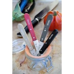 Opinel Coffret 4 Couteaux Essentiels Loft -Cuisine À Domicile 471165 2 3 Coffret 4 couteaux Essentiels Loft Opinel