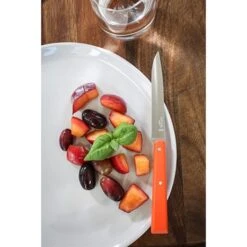 Opinel Coffret 4 Couteaux De Table Pop 9 Opinel Coffret 4 Couteaux De Table Pop -Cuisine À Domicile 471245 4 3 Coffret 4 couteaux de table Pop Opinel