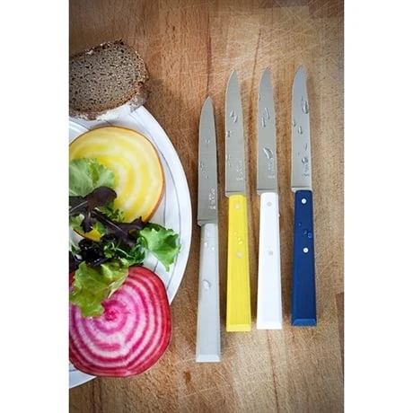 Opinel Coffret 4 Couteaux De Table Céleste 4 Opinel Coffret 4 Couteaux De Table Céleste – Image 4