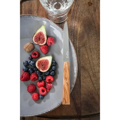 Opinel Coffret 4 Couteaux De Table Esprit Sud 4 Opinel Coffret 4 Couteaux De Table Esprit Sud – Image 4