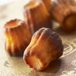 Lot Flexi'Plaque Silicone 30 Mini-canelés Et Entonnoir à Piston Pro -Cuisine À Domicile 519072 2 1 Lot Flexi Plaque silicone 30 mini caneles et entonnoir a piston pro Mathon