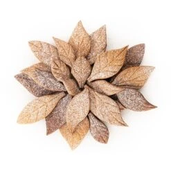 Silikomart Emporte-pièce Voila Cookie - Feuilles 24 X 15 Cm -Cuisine À Domicile 561004 2 2 Emporte piece Voila cookie Feuilles 24 x 15 cm Silikomart