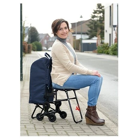 Chariot De Courses Avec Siège Bleu 2 Chariot De Courses Avec Siège Bleu – Image 2