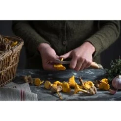 Set Brosse à Champignons Et Couteau à Champignons Pliant N°8 -Cuisine À Domicile 609165 2 1 Set brosse a champignons et couteau a champignons pliant N 8