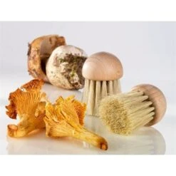 Set Brosse à Champignons Et Couteau à Champignons Pliant N°8 -Cuisine À Domicile 609165 3 1 Set brosse a champignons et couteau a champignons pliant N 8
