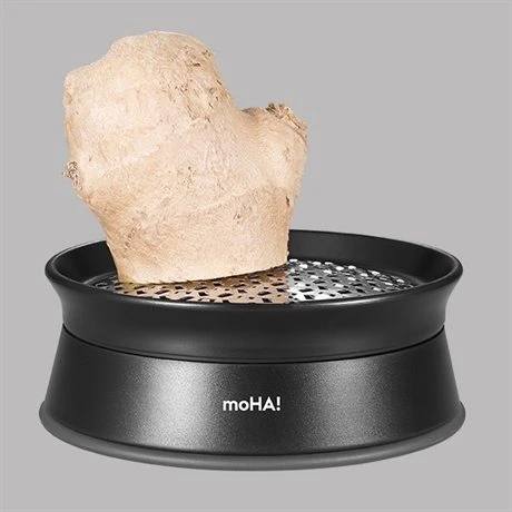 Râpe à Gingembre Ginger 1 Râpe à Gingembre Ginger